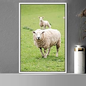 signwin Framed Canvas Wall Art Sheep Animals Expressive...