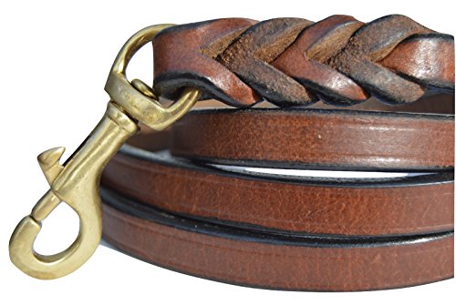 Soft Touch Collars Leather Braided Dog Leash, Brown with Leather Padded Handle, 6 Foot