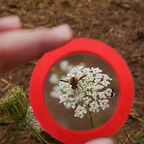 XIYITOY Best Gifts for Teen Girl, Bug Viewer Box with 8X Magnifier for Kids Toys for 3-12 Year Old Girls Boys View and Collect Insects Up CloseÂ (Red)