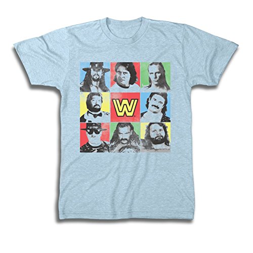 Men's WWE Legends T-Shirt, Light Blue Heather, Medium