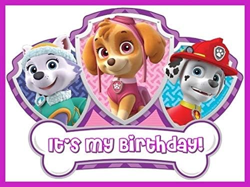 skye marshall paw patrol