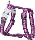 Red Dingo Designer Dog Harness, Small, Daisy Chain Purple
