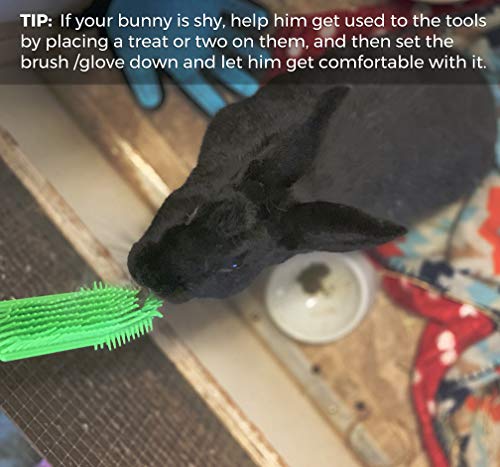 Small Animal Grooming Set - Includes Pet Hair Glove and Pet Hair Removal Brush - Reduces Shedding - Safe for Cats, Bunnies, Guinea Pigs, and Other Small Animals              - Thumbnail 2