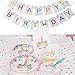 Discovering DIY Unicorn Birthday Decorations for Girls - Party Supplies Kit for 16 Guests w/Plates, Cups, Goody Bags, Utensils, Napkins, Cake Cutter & Topper, Candles, Table Cloth and Banner