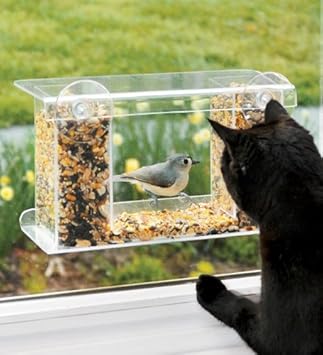 Window Mount See Through Clear Plastic Bird Feeder Amazon Co Uk