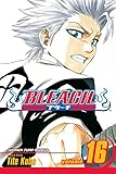Bleach, Vol. 16