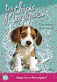 Les chiots magiques, Tome 14 : Un trésor inattendu by 