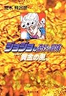 ジョジョの奇妙な冒険 文庫版 第33巻