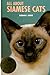 All About Siamese Cats
