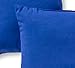 Greendale Home Fashions Outdoor Accent Pillows, Marine Blue, Set of 2