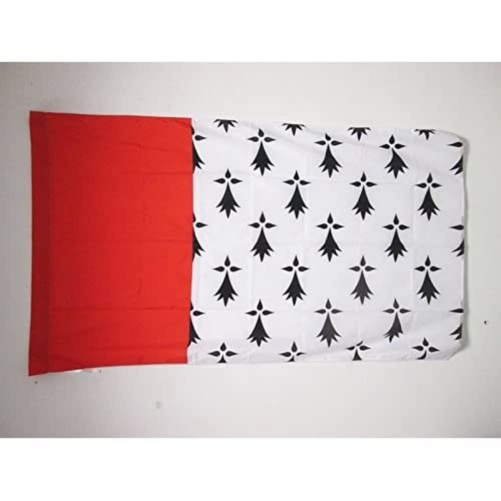 AZ FLAG - Pays nantais Flag - 3x5 Ft - Bro Naoned Banner with Sleeve - 100% Polyester - Fade Resistant - Vivid Colors - 3' x 5' Feet - 150x90 Cm