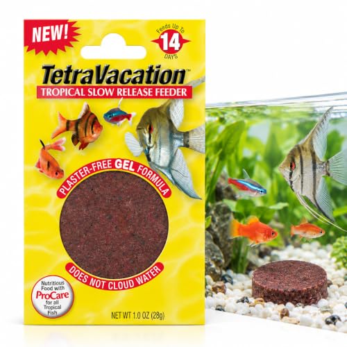 Tetra Vacation Food Feeder