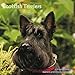 Scottish Terrier Calendar - 2017 Wall Calendars - Calendar 2016 - Dog Breed Calendars - Monthly Wall Calendar by Magnum