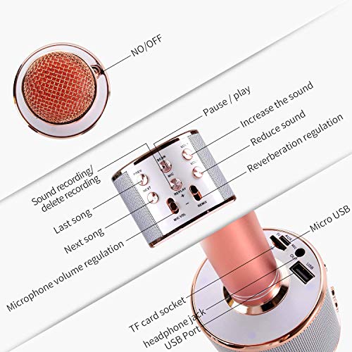 3 Karaoke+Microphone+Wireless+Bluetooth+Speaker