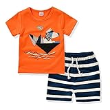 AJia Kids 2 Piece Short Sleeve Shirt and Shorts for 1 to 5 Years Olds Little Boy (4t, Orange)
