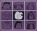 COFFRET INTEGRALE PEANUTS T16 (SNOOPY (INTEGRALE)) (French Edition) by 