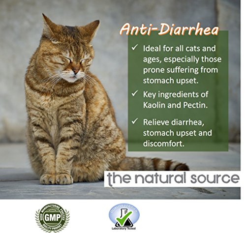 Vet Worthy Anti-Diarrhea for Cats (4 oz)