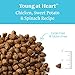 Solid Gold - Young at Heart Senior Dog Food with Real Chicken - Grain Free Dry Dog Food for Sensitive Stomachs - Antioxidant Rich Formula for Immune Support and Overall Health