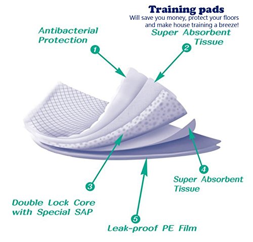150 Count-XXL-28x34 Heavy Absorbent Training & Potty Pads with built-in attractant - Thumbnail 4
