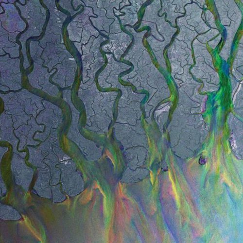 #46 — An Awesome Wave