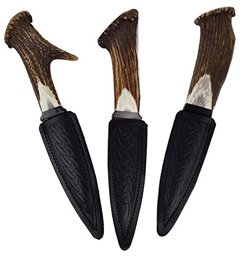 Genuine Full Crown Stag Horn Sgian Dubh with Stainless Steel Blade - Thumbnail 3