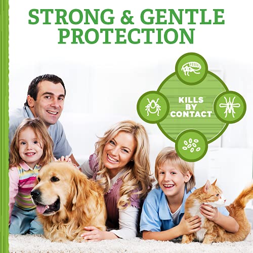Natural Care Flea and Tick Carpet Powder Flea Treatment for Rugs