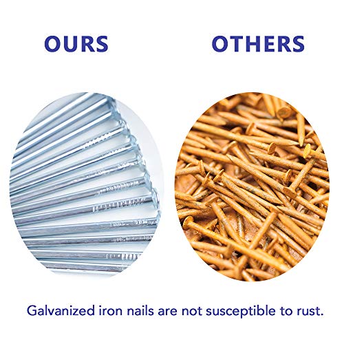 3 Coceca+Hardware+Assortment+200pcs+Galvanized