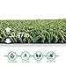 · Petgrow · Pro Putting Green Golf Artificial Grass Turf - Indoor Outdoor Golf Training Mat, Synthetic Fake Grass for Baseball Football Gym Sports