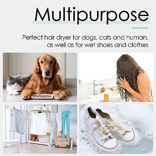 ThinkPet Dog Hair Dryer for Pet Grooming High Velocity Force Blower - Lightweight Portable Dog Dryer for Small Medium Large Dogs Grooming Hair Dryer - 4 Levels Temperature 3 Blow Speed 4 Nozzle Green