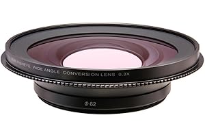 Raynox MX-3062 0.3X Semi-Fisheye Ultra Wide-Angle Converter Lens