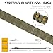 OutdoorMaster Bungee Dog Leash, Improved Dog Safety & Comfort (Green)