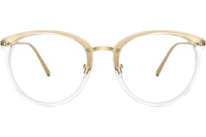 TIJN Vintage Round Clear Glasses Non-Prescription Eyeglasses Frames for Women Men,Oversized Metal Oval Eyewear