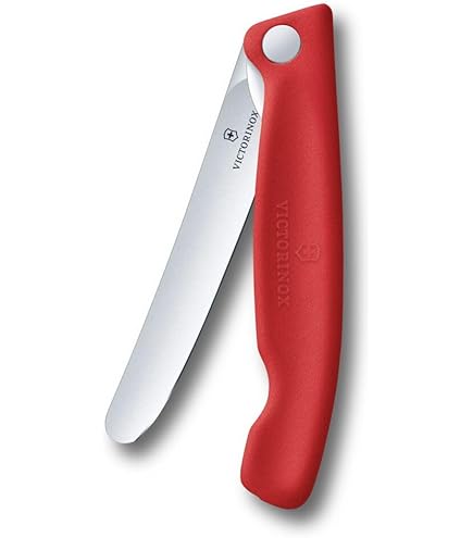 Amazon.com: Victorinox 2-1/2-Inch Folding Blade Knife, Red Alox