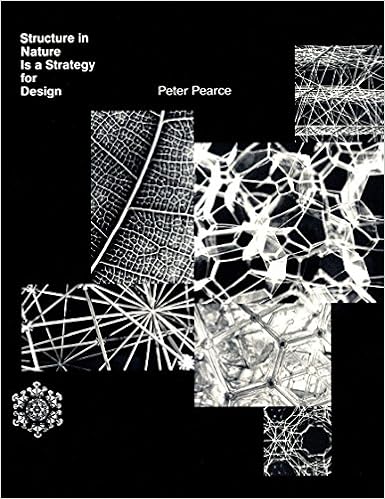 structure systems heino engel pdf free