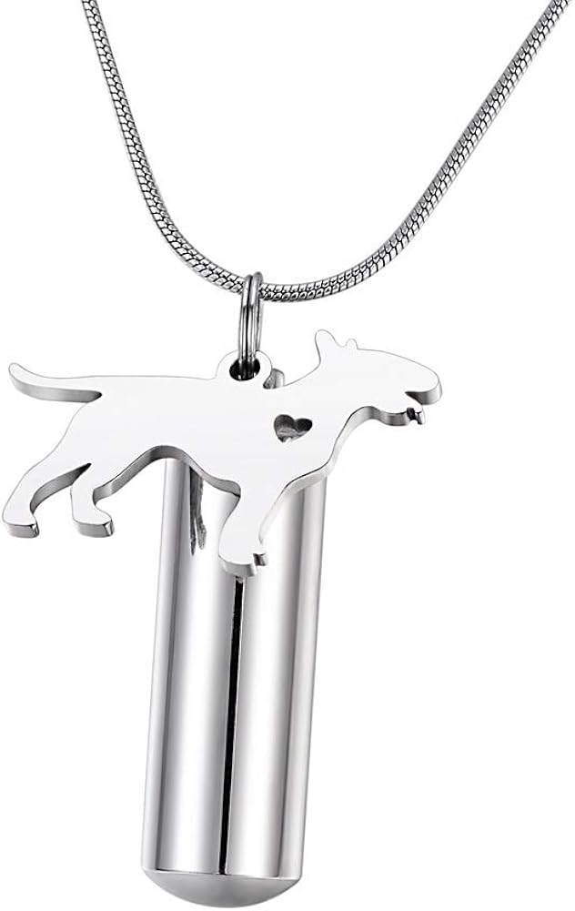 dog ashes necklace amazon