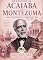 Livro JOSE FRANCISCO JE ACAIABA DE MANTEZUMA: O PIONEIRO DA LIBERDADE: Um livro do projeto AFROBRASIL (HERANÇA VIVA)