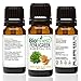 Biofinest Fenugreek Essential Oil - 100% Pure Undiluted, Premium Organic Therapeutic Grade - Best for Aromatherapy, Skin & Hair Care, Ease Inflammation Fatigue Fever Sore Throat - FREE E-Book (10ml)