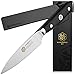 KESSAKU Paring Knife - 3.5 inch - Dynasty Series - Razor Sharp Kitchen Knife - Forged ThyssenKrupp German High Carbon Stainless Steel - G10 Garolite Handle with Blade Guard