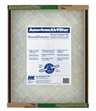 American Air Filter 114251 Air Filter, 14" x 25"