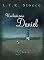 Livro Um herói para Daniel