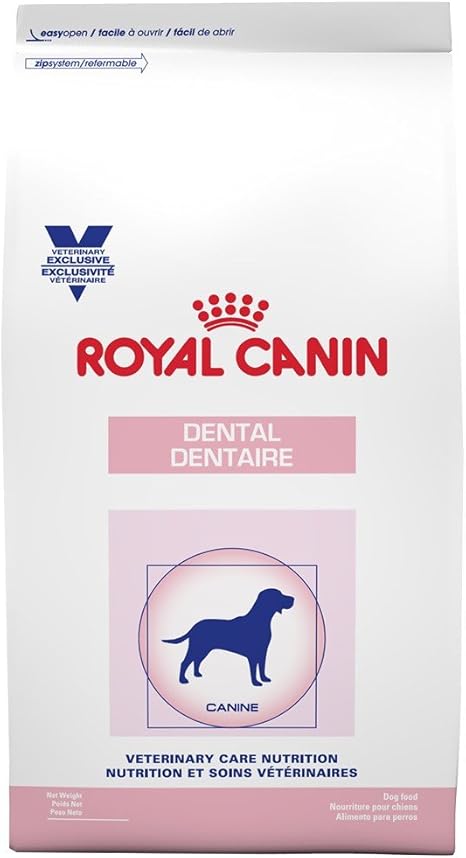 puppy swallowed nylabone