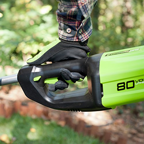 GreenWorks Pro PS80L210 80V 10Inch Cordless Pole Saw, 2Ah Battery and