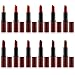 SHANY Lipstick Set of 12 Long-lasting and Moisturizing Creamy Colors with Various Finishes - Warm Wishes