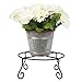 Achla Designs Piazza Flower Pot Plant Stand, Large,Black