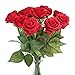 LG LOUIS GARDEN Red Roses Artificial Flowers 17
