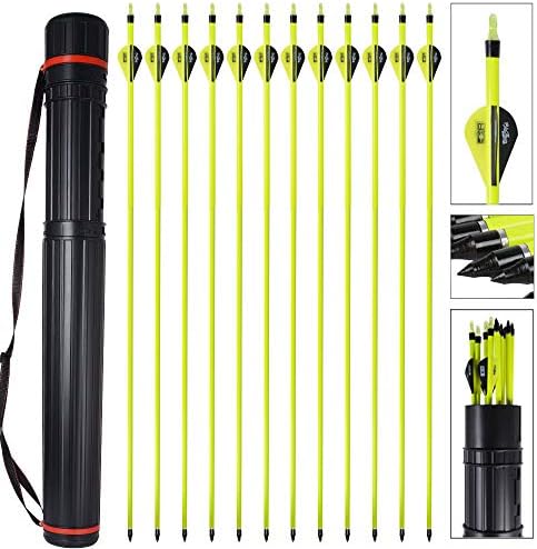 MEJOSER 12 Pack Archery 32 Inch Carbon Hunting Arrows for Recurve and Compound Bow 350 Spine Replaceable Screw in Fields Points 3inch Vanes with Arrows Quiver