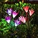 Solar Flower Lights Outdoor, Elfeland Multi-Color Changing Lily Lights LED Solar Garden Lights Upgraded Solar Stake Lights for Path Yard Patio Backyard Decoration(2 Pack,Red and White)