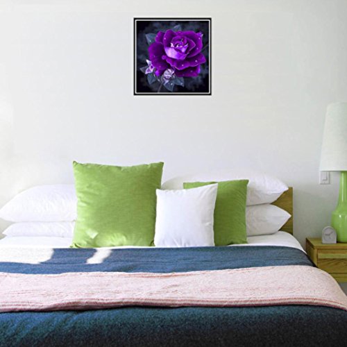 Botrong 5D Embroidery Paintings Rhinestone Pasted DIY Diamond painting Embroidery Arts Craft Adults' Children's Paint-By-Number Kits Cross Stitch (❤️ D:12X12inch / 30X30CM)