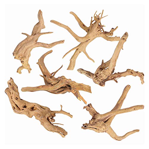The Best Driftwood for Your Aquarium Dogtime