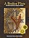 A Broken Flute: The Native Experience in Books for Children (Contemporary Native American Communitie by Doris Seale